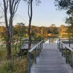 Berrinba Wetlands - Logan City