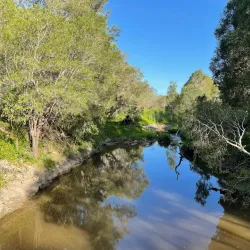 Berrinba Wetlands - Logan City