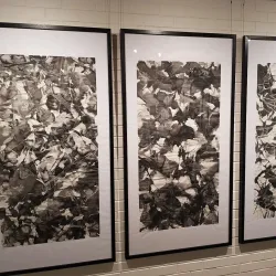 Logan Art Gallery - Logan City