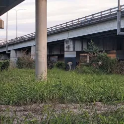Logan River Parklands - Logan City