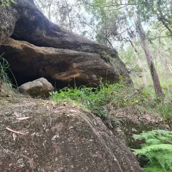 Springwood Conservation Park - Logan City