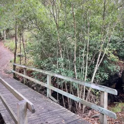 Springwood Conservation Park - Logan City