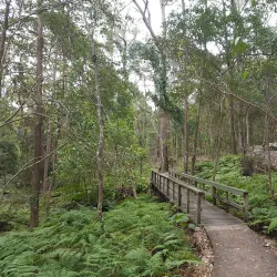 Springwood Conservation Park - Logan City