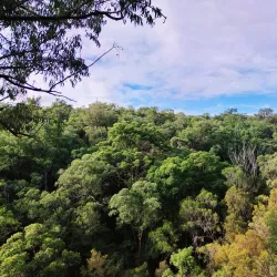 Springwood Conservation Park - Logan City