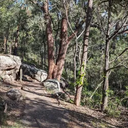Springwood Conservation Park - Logan City