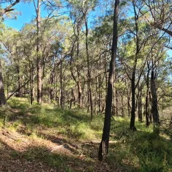 Springwood Conservation Park - Logan City