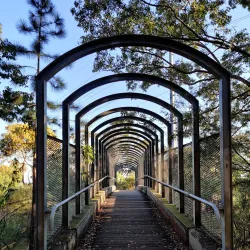 Springwood Conservation Park - Logan City