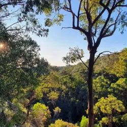 Springwood Conservation Park - Logan City