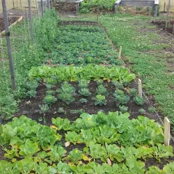 Yarrabilba Community Park - Logan City