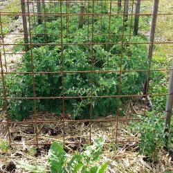 Yarrabilba Community Park - Logan City