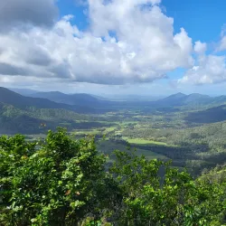 Eungella National Park - Mackay