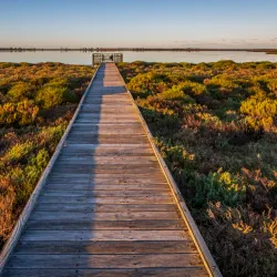 Creery Wetlands - Mandurah
