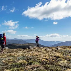 Alpine National Park - Mansfield