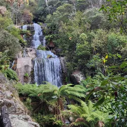 Alpine National Park - Mansfield