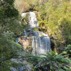 Alpine National Park - Mansfield