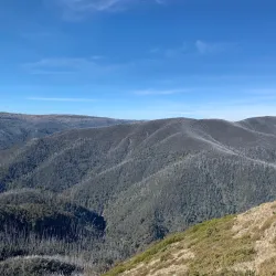 Alpine National Park - Mansfield