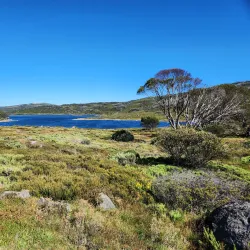 Alpine National Park - Mansfield