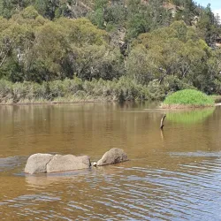 Alpine National Park - Mansfield