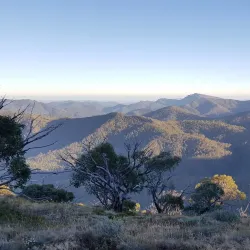 Alpine National Park - Mansfield