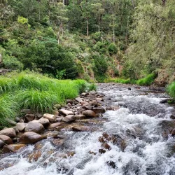 Alpine National Park - Mansfield