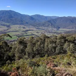 Alpine National Park - Mansfield