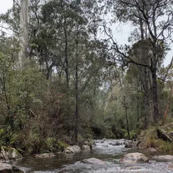 Delatite River - Mansfield