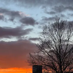 Delatite River - Mansfield