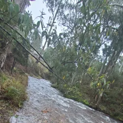 Delatite River - Mansfield