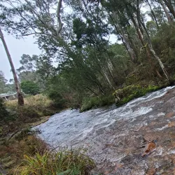 Delatite River - Mansfield