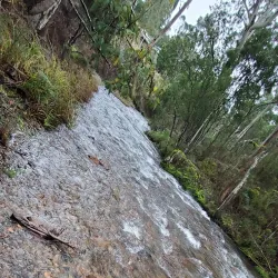 Delatite River - Mansfield