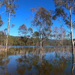 Lake Eildon National Park - Mansfield