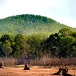 Lake Eildon National Park - Mansfield