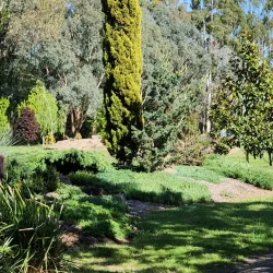 Mansfield Botanic Park - Mansfield