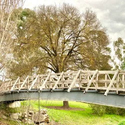 Mansfield Botanic Park - Mansfield