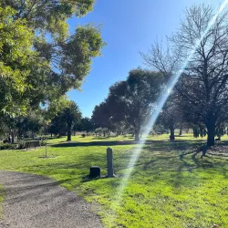Mansfield Botanic Park - Mansfield