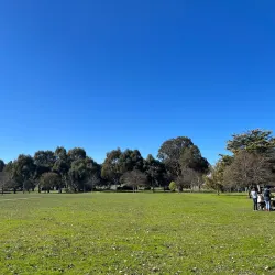Mansfield Botanic Park - Mansfield