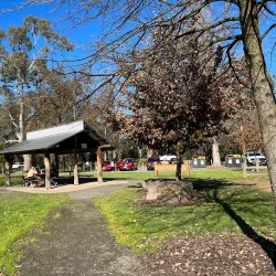 Mansfield Botanic Park - Mansfield