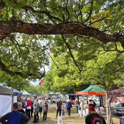 Mansfield Farmers Market - Mansfield