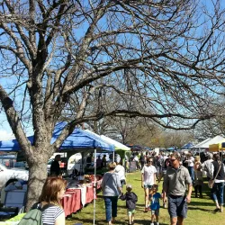 Mansfield Farmers Market - Mansfield