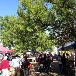 Mansfield Farmers Market - Mansfield