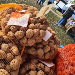 Mansfield Farmers Market - Mansfield