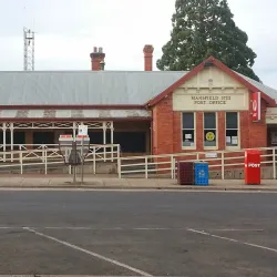 Mansfield Farmers Market - Mansfield