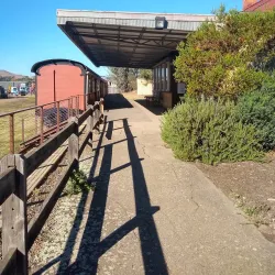 Mansfield Historical Society Museum - Mansfield