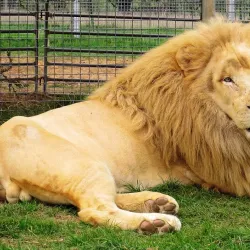 Mansfield Zoo - Mansfield