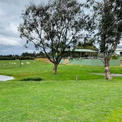 Mansfield Zoo - Mansfield