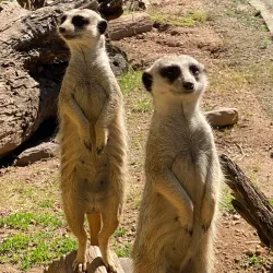 Mansfield Zoo - Mansfield