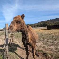 Mansfield Zoo - Mansfield