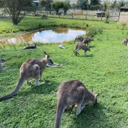 Mansfield Zoo - Mansfield