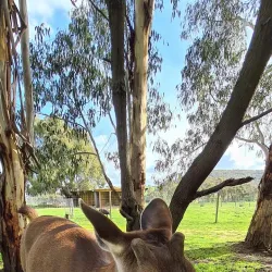 Mansfield Zoo - Mansfield