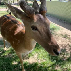 Mansfield Zoo - Mansfield